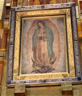 Our Lady of Guadalupe Inspires Chicago Illuminator