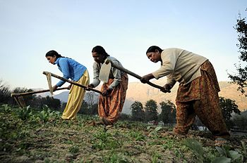 The Principles of Microfinance: Changing, Saving lives!