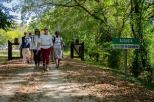 Catholic pilgrimages in the United States: a new renaissance?