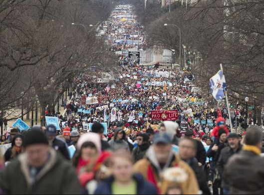 Pro-Life Candidates and Judges Win in Elections Nationwide -- with some GREAT vignettes...