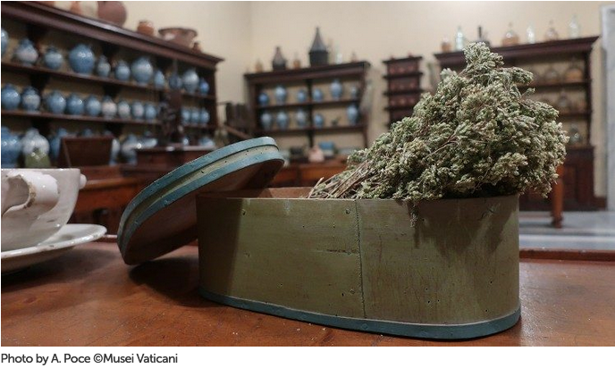 Vatican Museum-apothecary