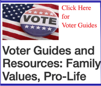 Voter Guides collected by Catholic Business Journal - Super Helpful!!