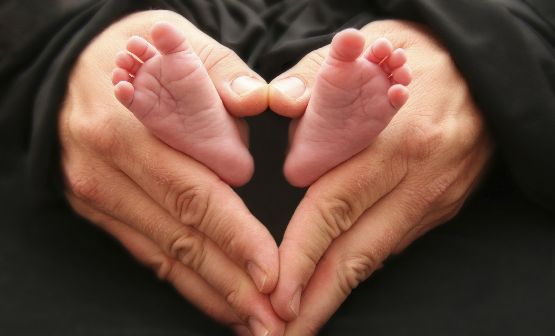The Culture of Life v. Death