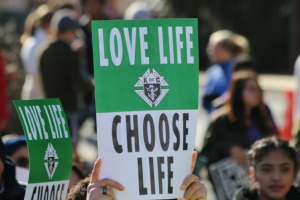 USCCB implores Congress to restore pro-life policies to spending bills